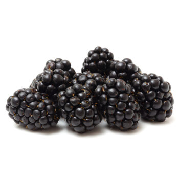 SonderJansen Cultivated Blackberry 101001
