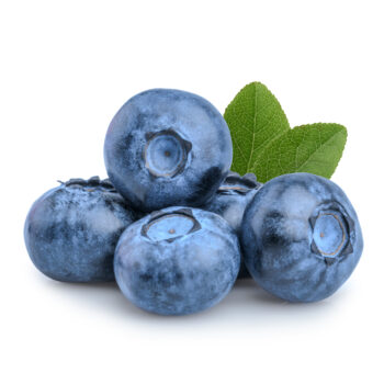 SonderJansen Cultivated Blueberry 101002