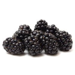 SonderJansen Organic Wild Blackberry 201002