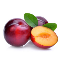 SonderJansen - Plums - 101008
