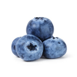 SonderJansen Wild Blueberry 101003