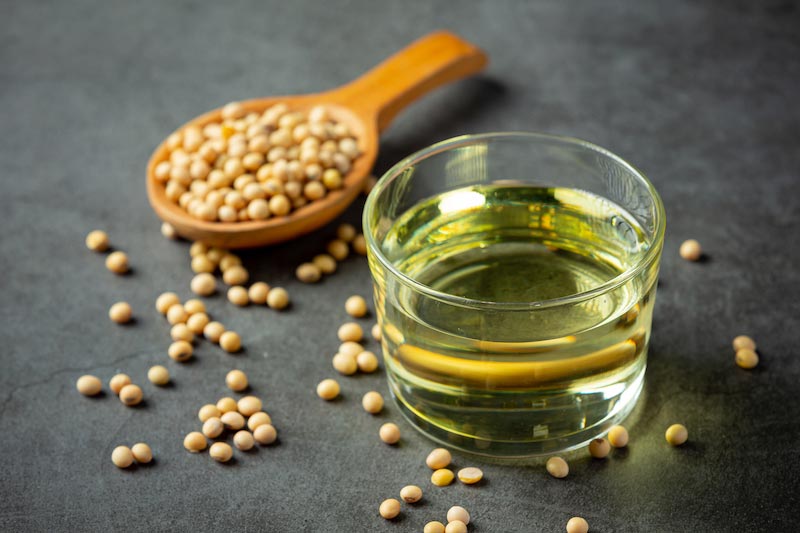 lecithin lecithin