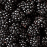 Organic Blackberry Flavour (WS) 12 Taste