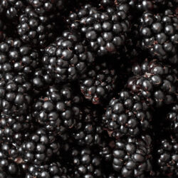 Product image 10 1