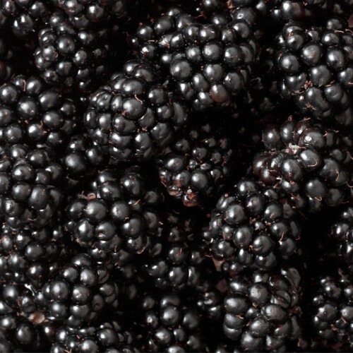 Organic Blackberry Flavour (WS) 12 Taste