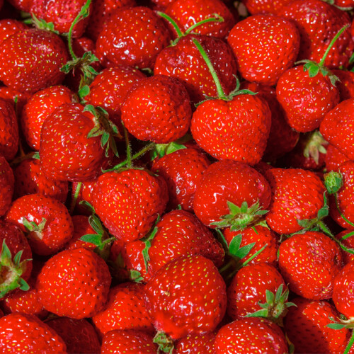Organic Strawberry Flavour (WS) 12 Taste