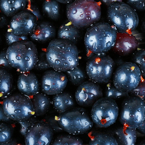 Organic Blackcurrant Flavour (WS) 12 Taste