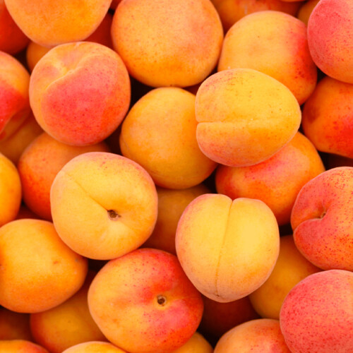 Organic Apricot Flavour (WS) 12 Taste