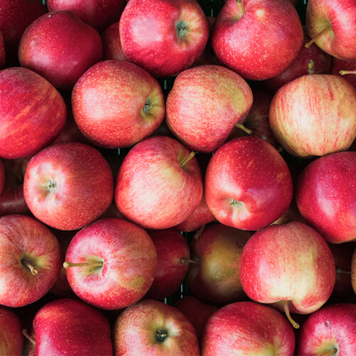 Organic Apple Flavour (WS) 12 Taste
