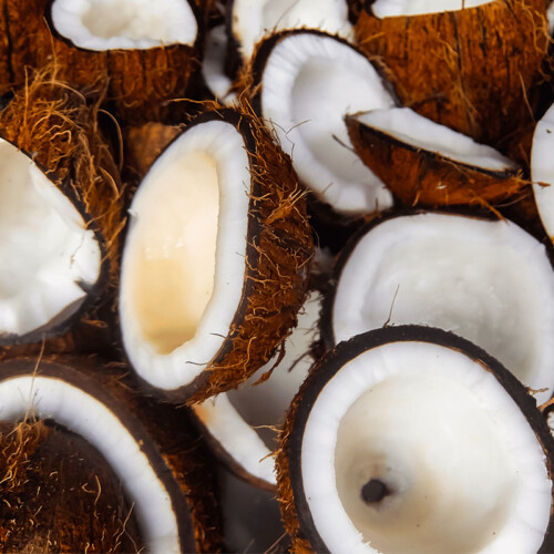 Organic Coconut Flavour (WS) 12 Taste