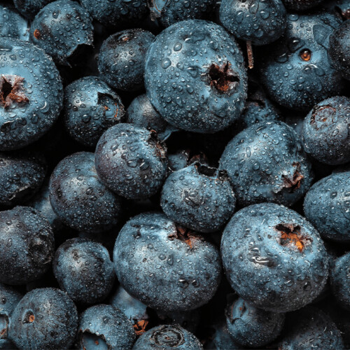 Organic Blueberry Flavour (WS) 12 Taste