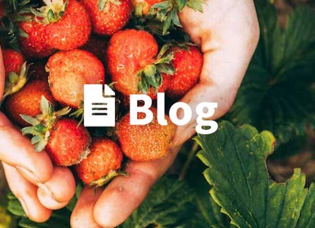 Bio- vs. Natur-Blog