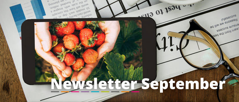 September newsletter header