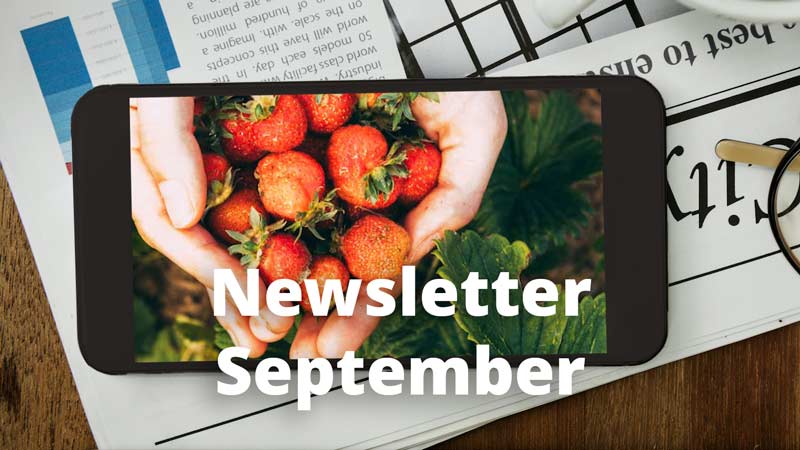 Newsletter September