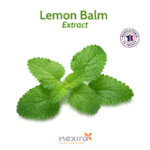 1-2 Taste Nexira - Nexira - Lemon Balm Powder Extract (1% Rosmarinic Acid) with fresh lemon balm leaves and French origin seal