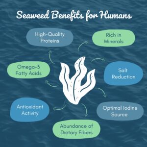 Seaweed benefits