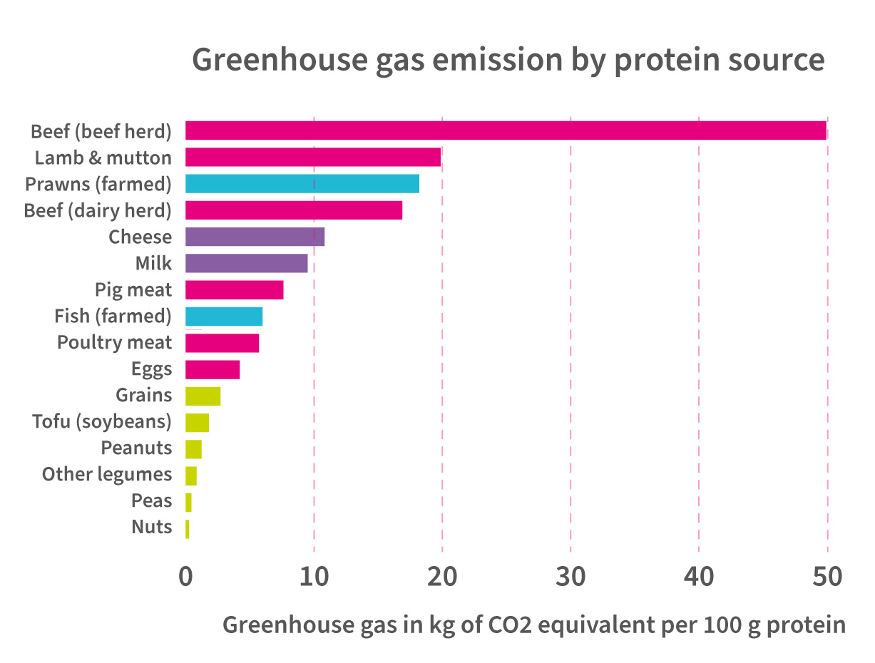 graph Greenhouse gas protein source