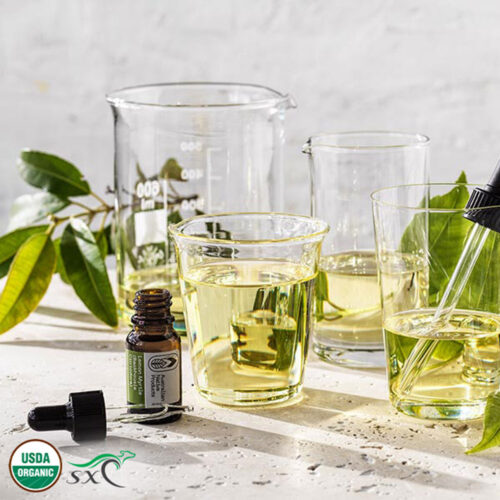 1-2 Taste Organic Lemon Myrtle 100% Essential Oil in dropper bottle beside measuring beakers and leaves, USDA Organic certified