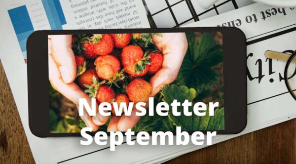 newsletter september