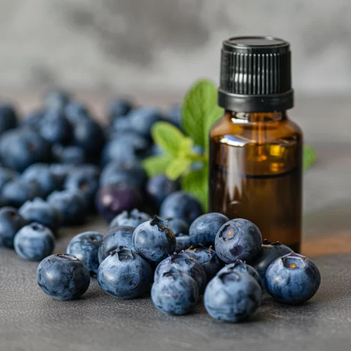 Natural Blueberry Flavour (WS) 12 Taste