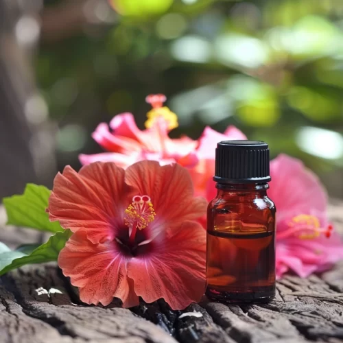 Natural Hibiscus Flavour & E330 (WS) 12 Taste