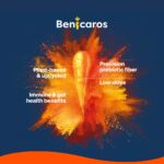 1-2 Taste NutriLeads Benicaros® SF P carrot-based prebiotic fiber with benefits including immune and gut health, low dose, and plant-based upcycled origin