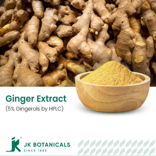 1-2 Taste JK Botanicals - Ginger root Extract 5% Gingerols by HPLC in wooden bowl with fresh ginger slices and leaves