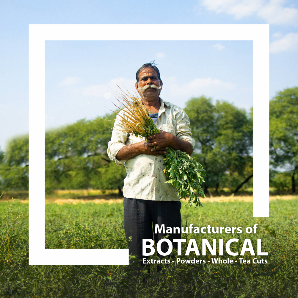 JK Botanicals manufacturers of botanical extracts, powders, whole and tea cuts