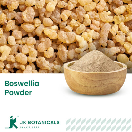 1-2 Taste JK Botanicals - Boswellia Powder shown as fine white resin extract in wooden bowl with frankincense gum beside