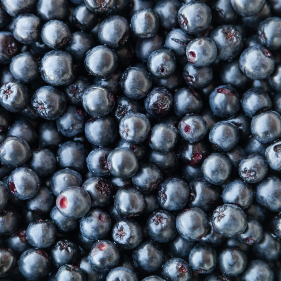 Aronia Juice Concentrate 12 Taste