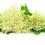 Ransom Naturals - Elderflower - 1-2-Taste website