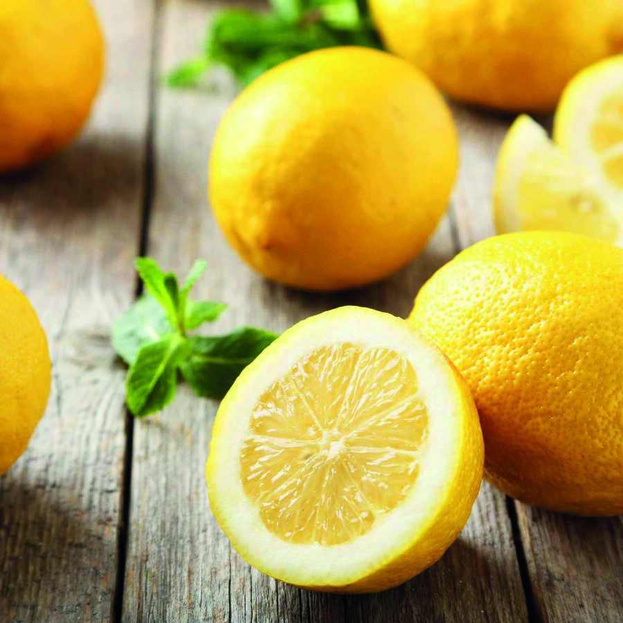 Lemons Botanical Image
