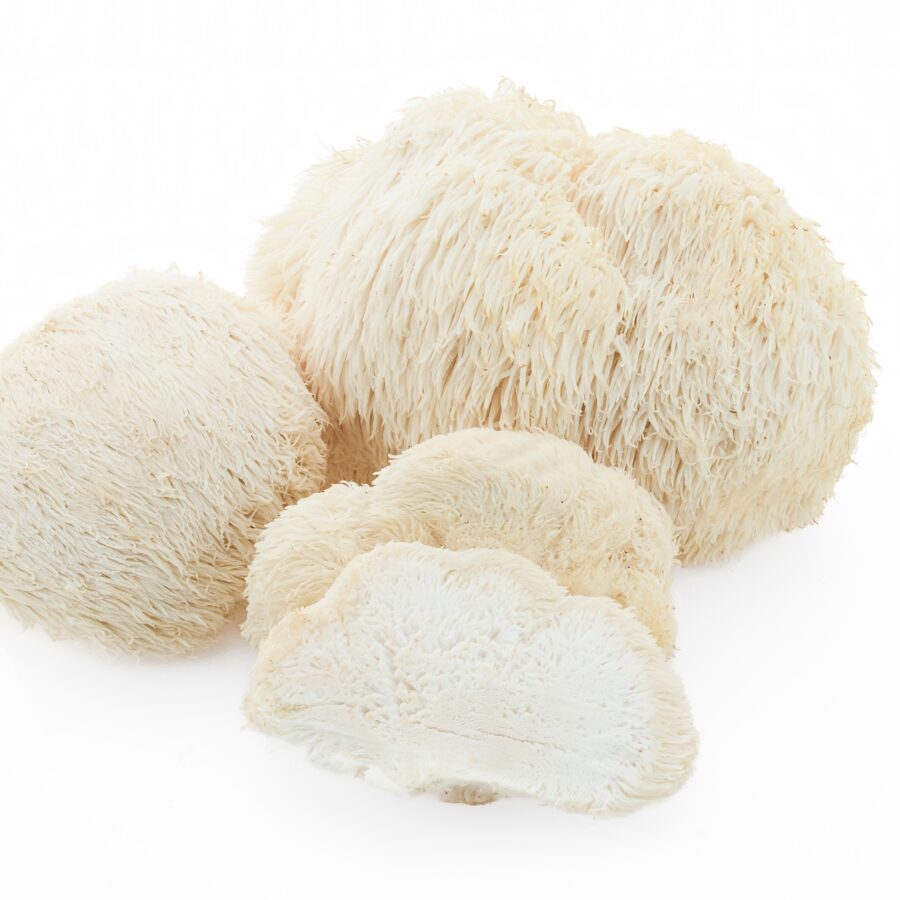Fresh,Lion’s,Mane,Mushrooms,Against,A,White,Background
