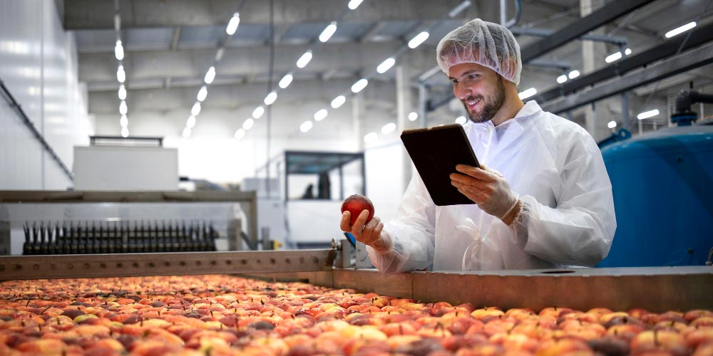 Quality assurance, manufacturer checking food quality