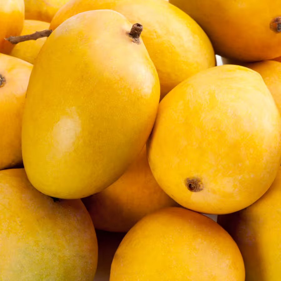 ADM — MANGO ALPHONSO PUREE_13000416430000_Image1