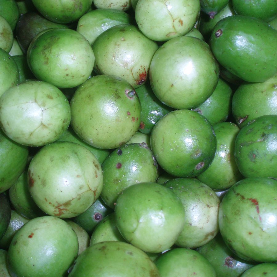 ADM — UMBU PUREE_13000418610000_Image1