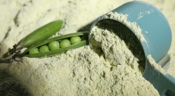 pea protein in food formulation